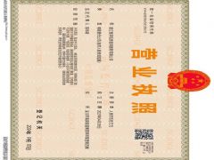湛江恒洋信息咨询服务有限公司证照略缩图