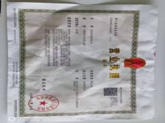 南京创洋船务有限公司证照略缩图