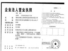 青岛东海之舟经济信息咨询有限公司证照略缩图