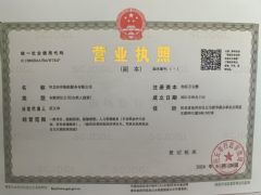 河北沣洋船舶服务有限公司证照略缩图