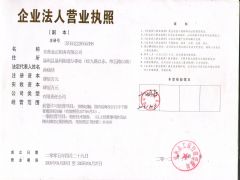 东营金正船务有限公司证照略缩图