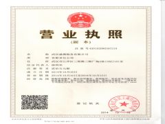 武汉盛澳船务有限公司证照略缩图