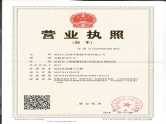 武汉万达海洋船舶管理有限公司深圳办事处证照略缩图