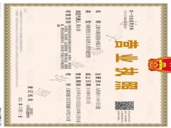 上海兴诺信船务有限公司证照略缩图