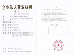 武汉鑫誉华船务管理有限公司证照略缩图