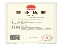 武汉云帆沧海船舶服务管理有限公司证照略缩图