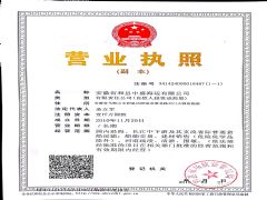 安徽省和县中盛海运有限公司证照略缩图