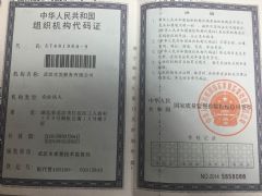 武汉交发船务有限公司证照略缩图